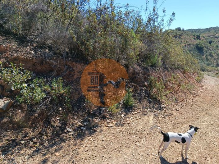 Image No.15-Plot for sale