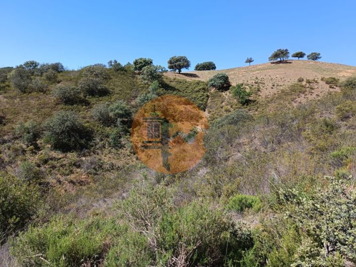 Image No.16-Plot for sale