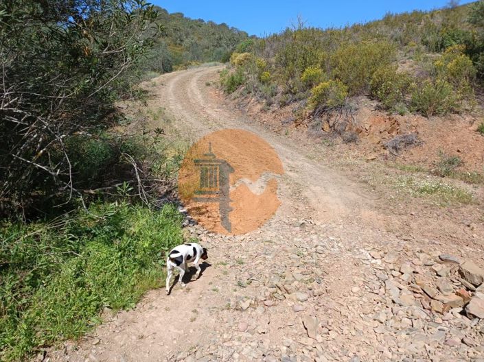 Image No.22-Plot for sale