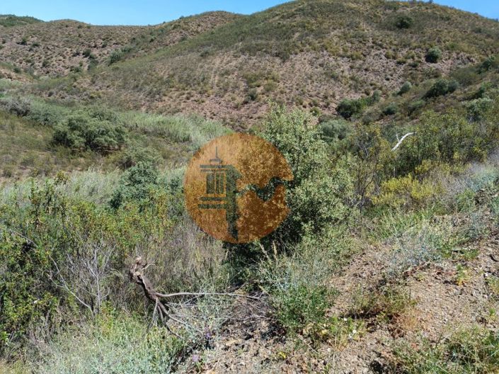 Image No.12-Plot for sale