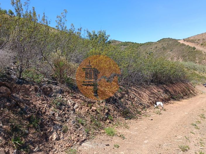 Image No.19-Plot for sale