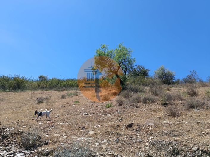 Image No.21-Plot for sale