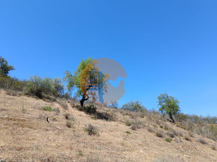 Image No.24-Plot for sale