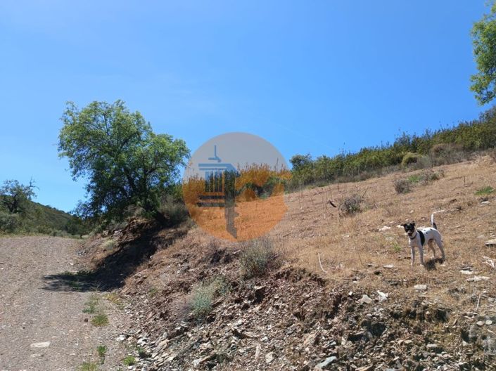 Image No.26-Plot for sale