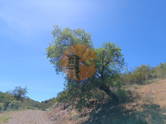 Image No.3-Plot for sale