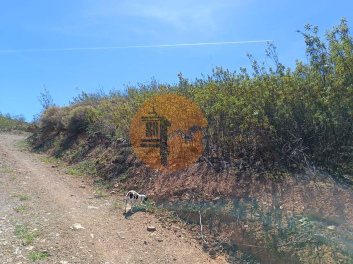 Image No.8-Plot for sale