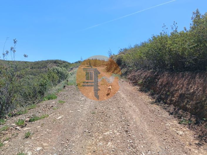 Image No.9-Plot for sale