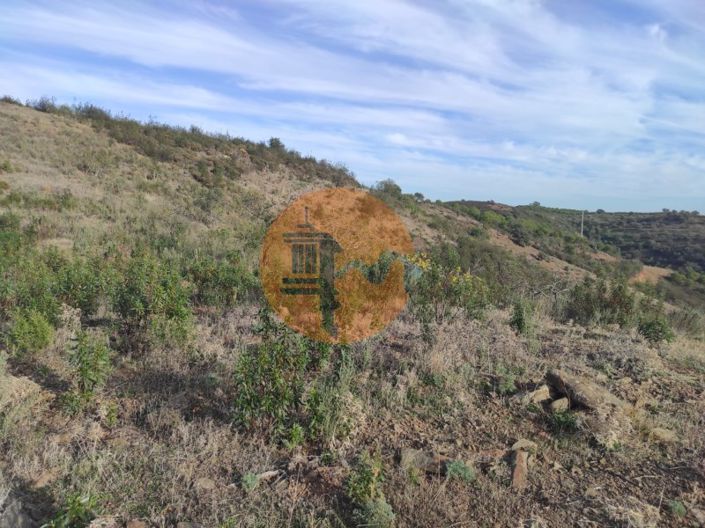 Image No.10-Plot for sale