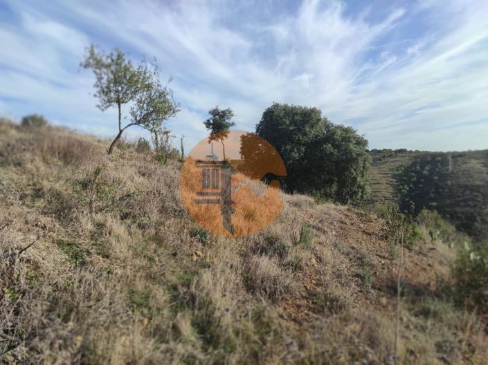 Image No.14-Plot for sale