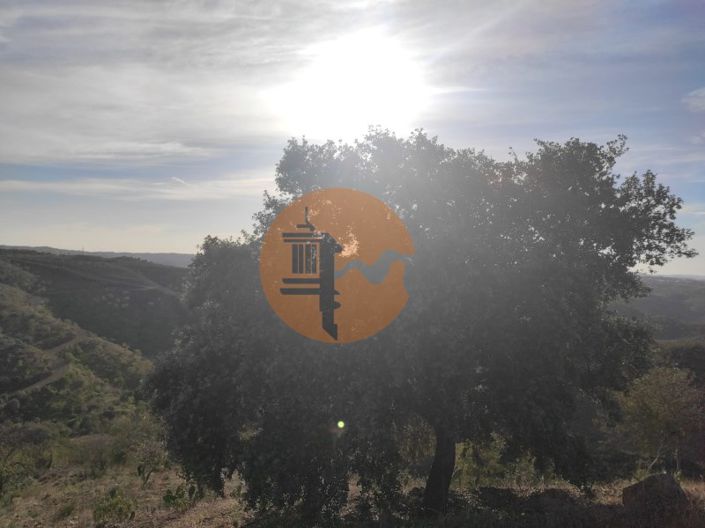 Image No.15-Plot for sale