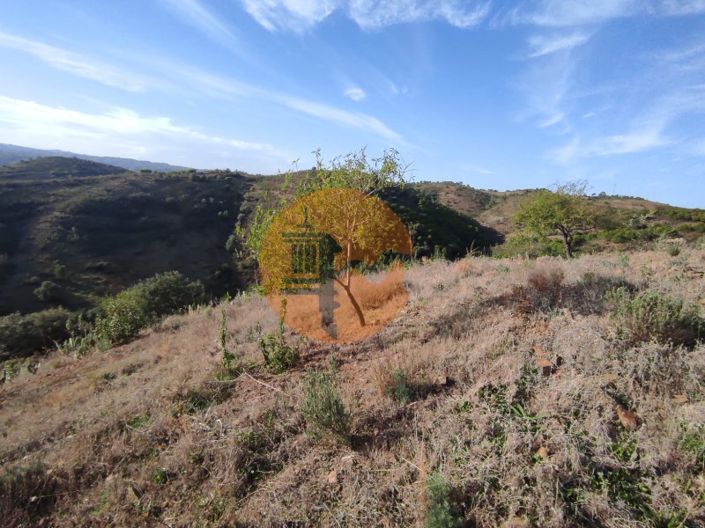 Image No.17-Plot for sale