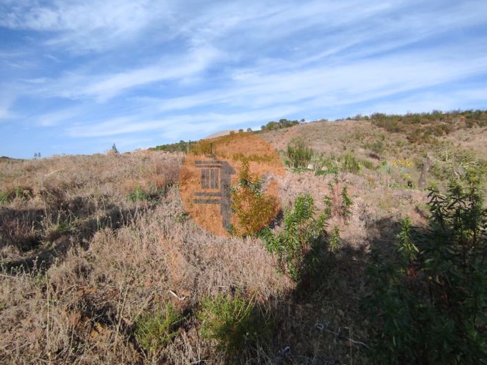 Image No.19-Plot for sale