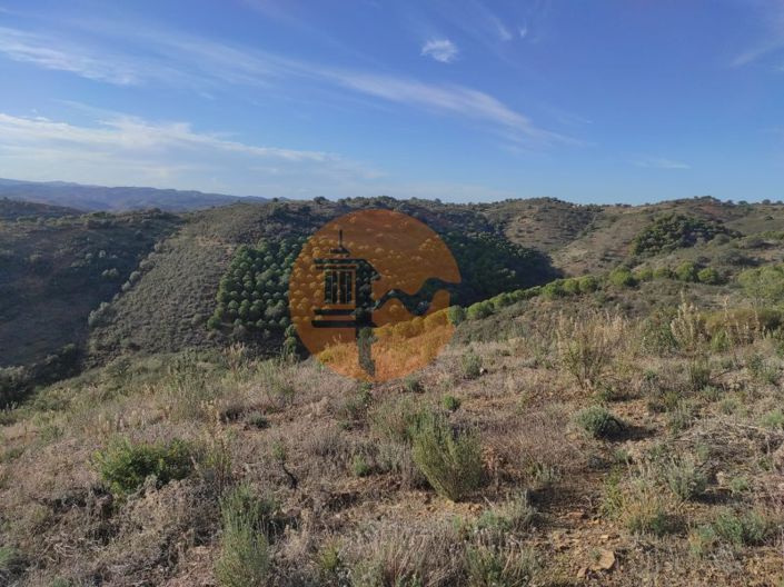 Image No.29-Plot for sale