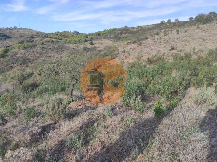 Image No.9-Plot for sale