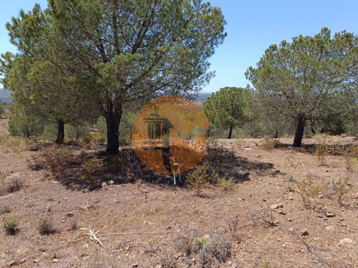 Image No.10-Plot for sale