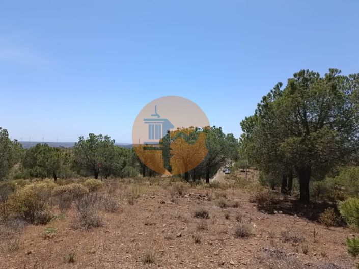 Image No.16-Plot for sale