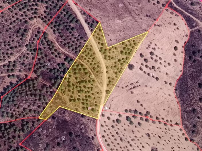 Image No.24-Plot for sale