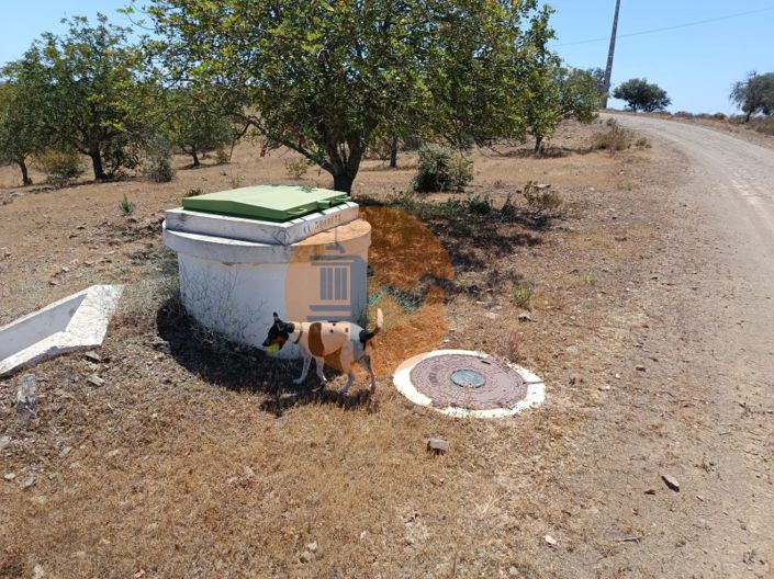 Image No.9-Plot for sale