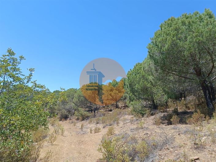 Image No.11-Plot for sale