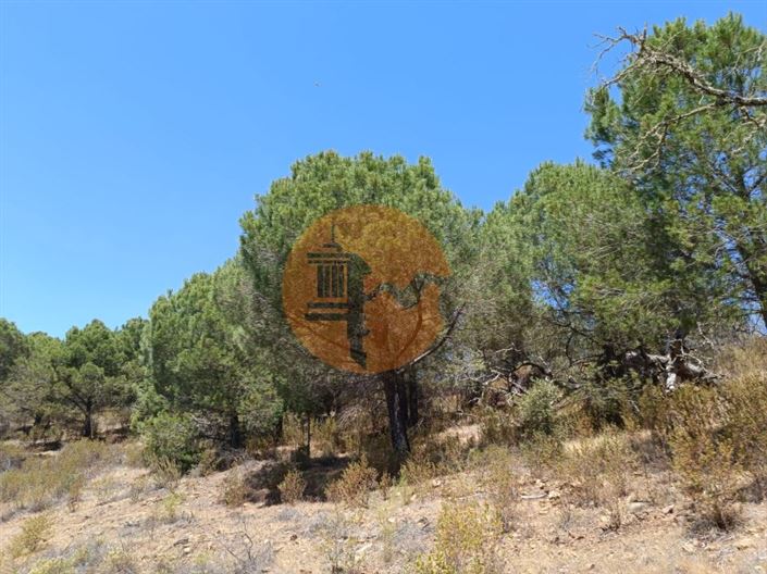 Image No.12-Plot for sale