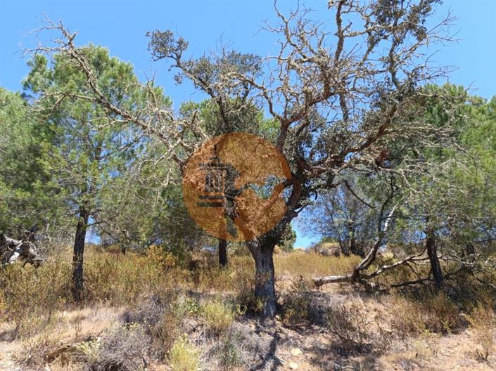 Image No.13-Plot for sale