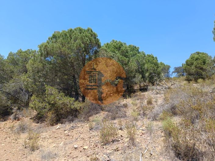 Image No.16-Plot for sale