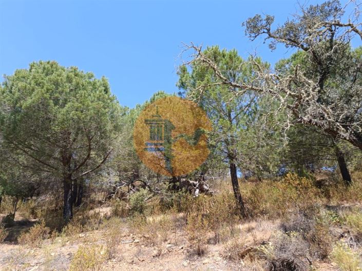 Image No.18-Plot for sale