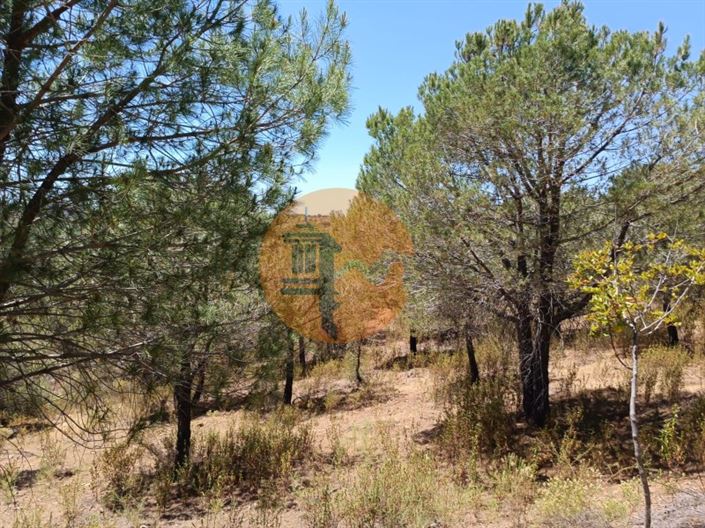 Image No.19-Plot for sale