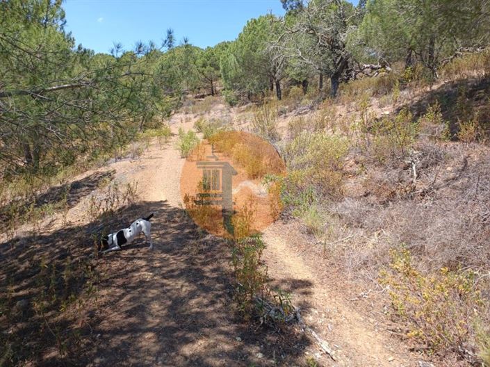 Image No.20-Plot for sale