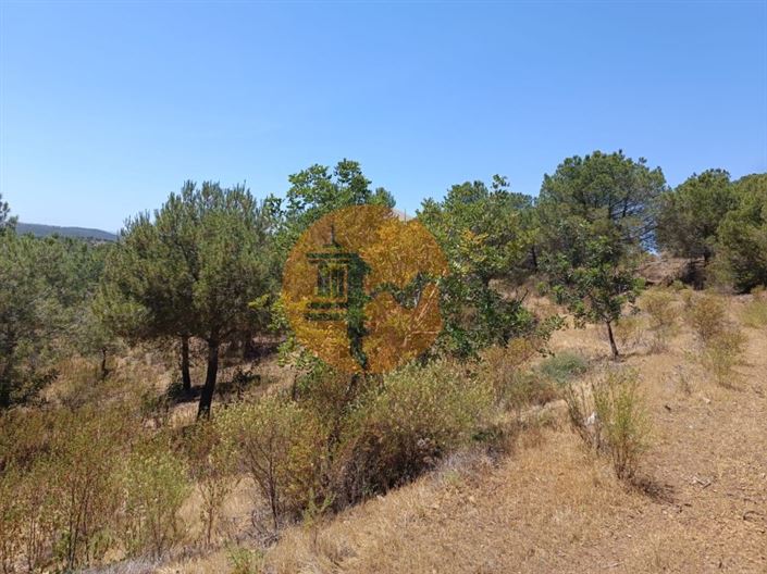 Image No.3-Plot for sale