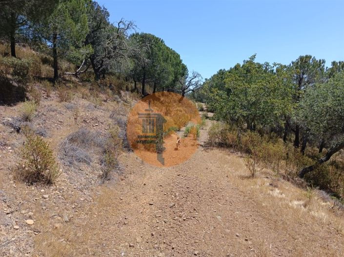 Image No.4-Plot for sale