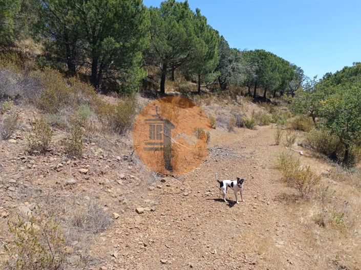 Image No.5-Plot for sale