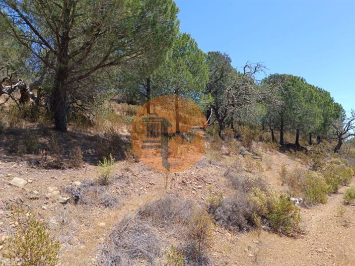 Image No.6-Plot for sale