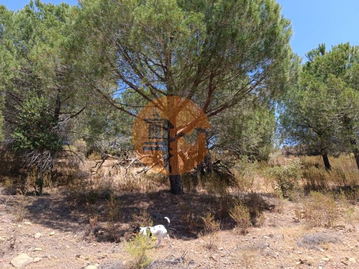 Image No.7-Plot for sale