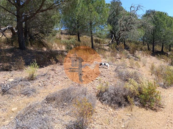 Image No.9-Plot for sale