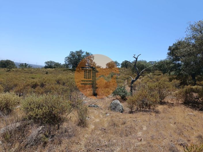 Image No.13-Plot for sale