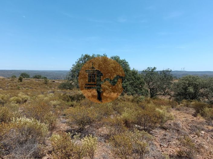 Image No.16-Plot for sale