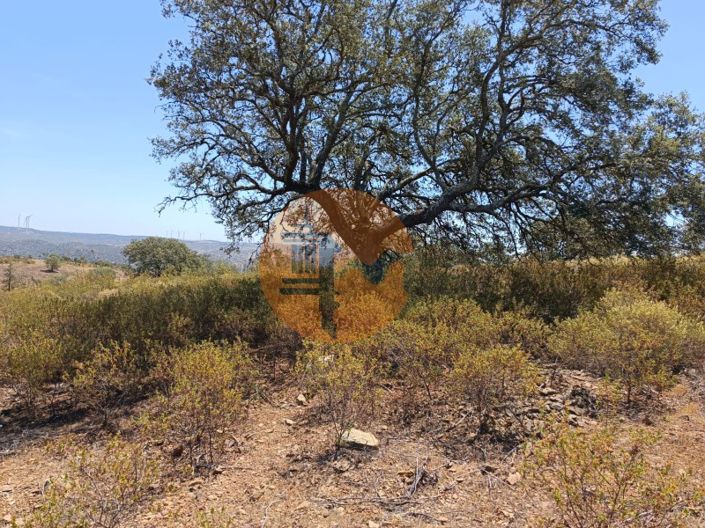 Image No.19-Plot for sale