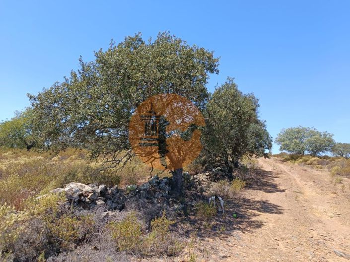 Image No.24-Plot for sale