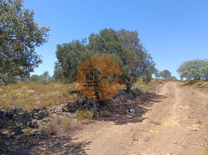 Image No.26-Plot for sale