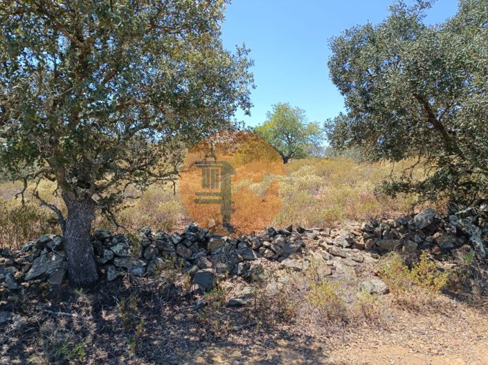 Image No.3-Plot for sale