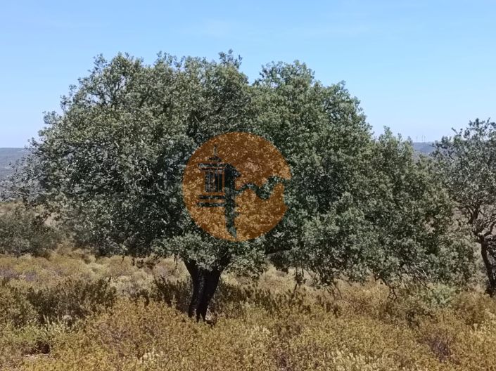 Image No.5-Plot for sale