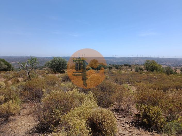 Image No.8-Plot for sale