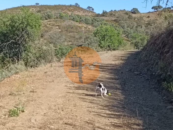 Image No.15-Plot for sale