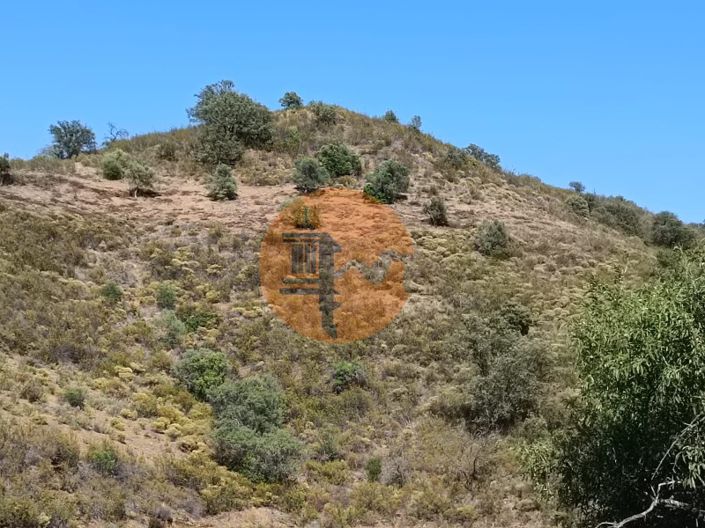 Image No.17-Plot for sale