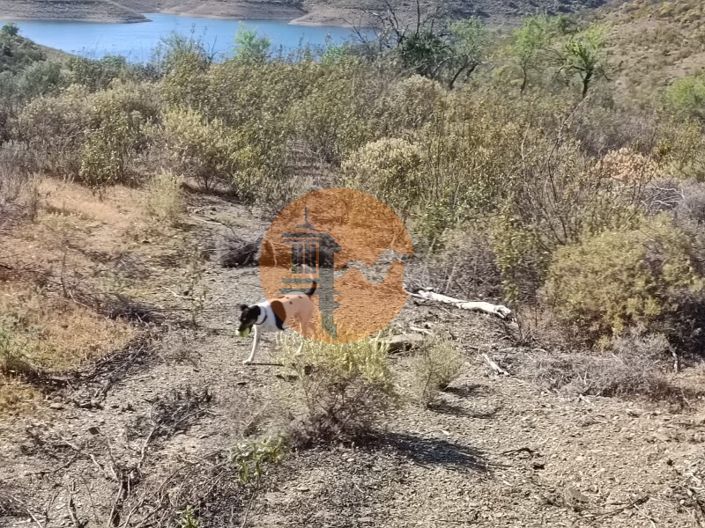 Image No.24-Plot for sale