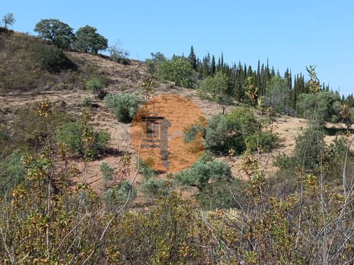 Image No.28-Plot for sale