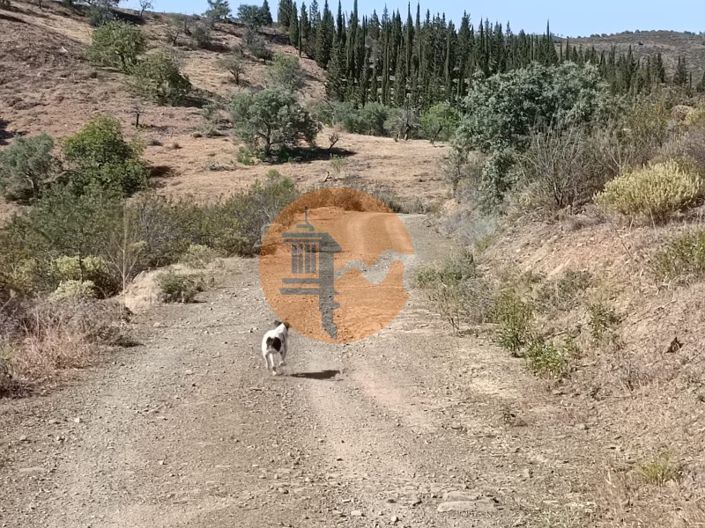 Image No.6-Plot for sale