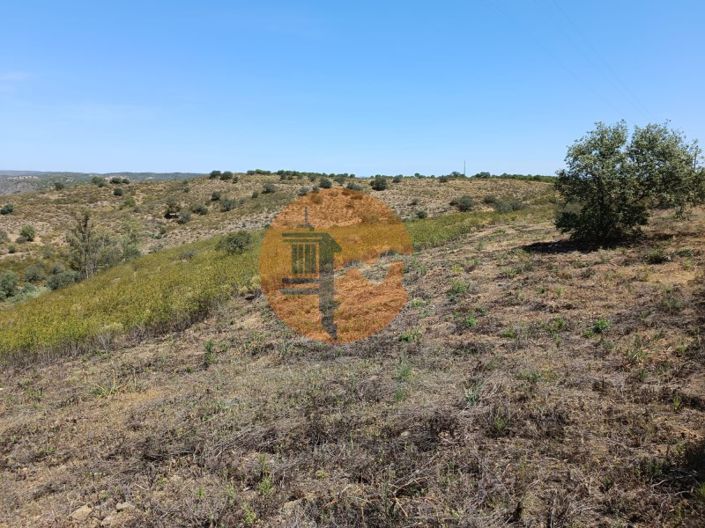 Image No.11-Plot for sale