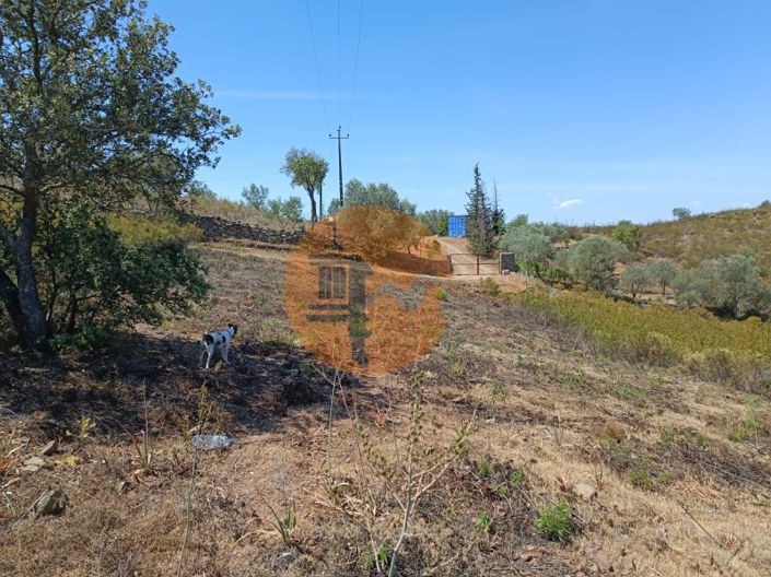 Image No.21-Plot for sale